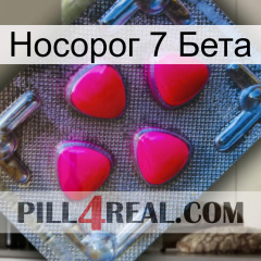 Носорог 7 Бета 13